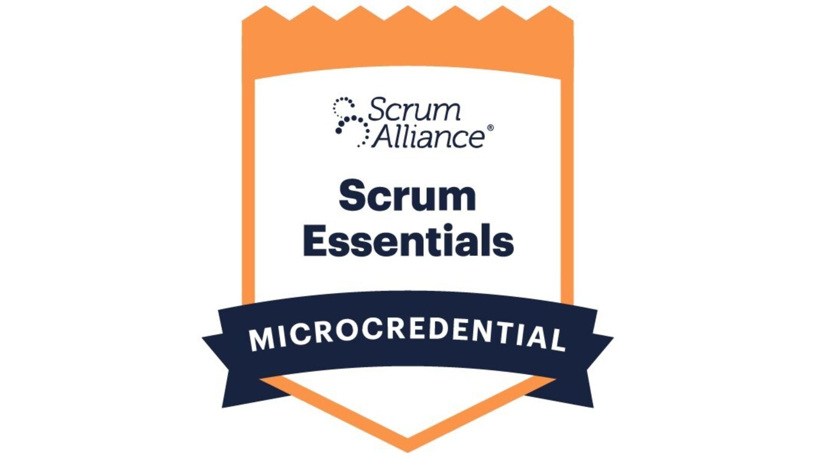 Scrum Alliance logo