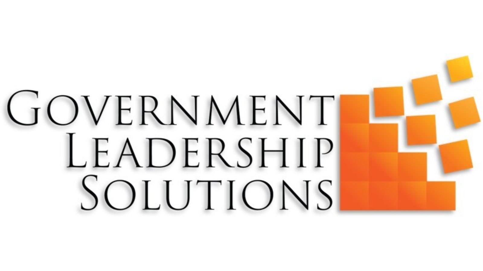 Government Leadership Solutions logo