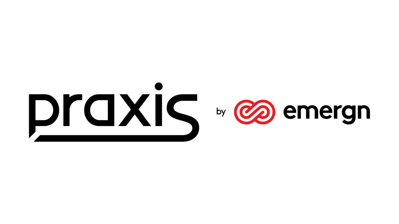 praxis logo