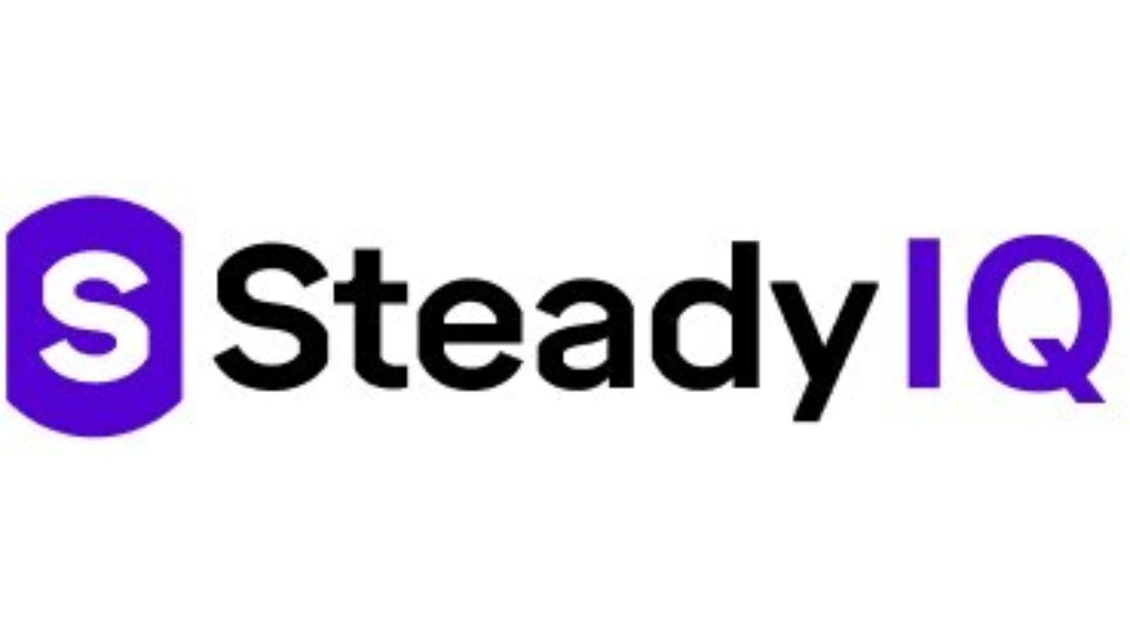 steady logo