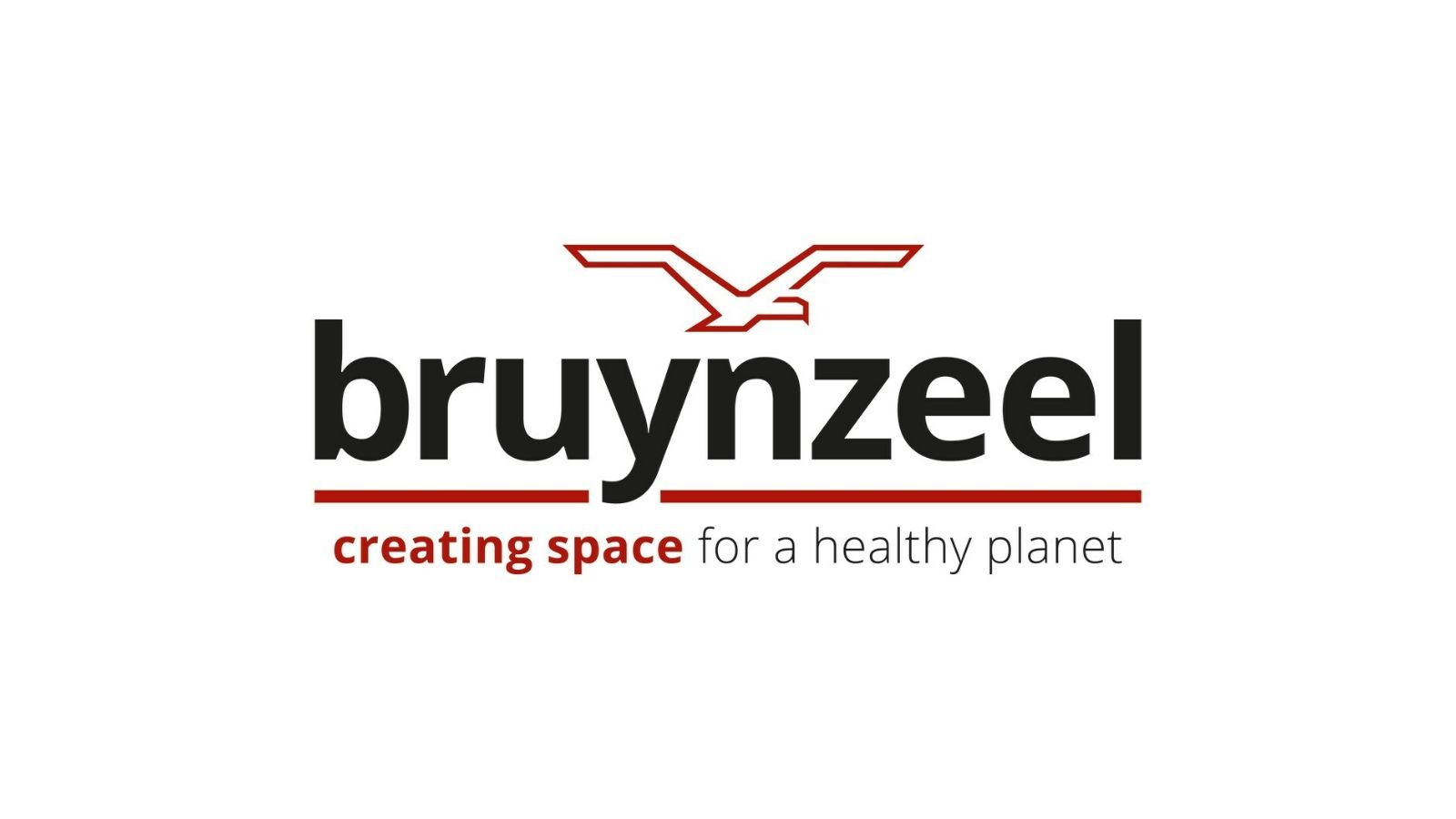 bruynzeel logo