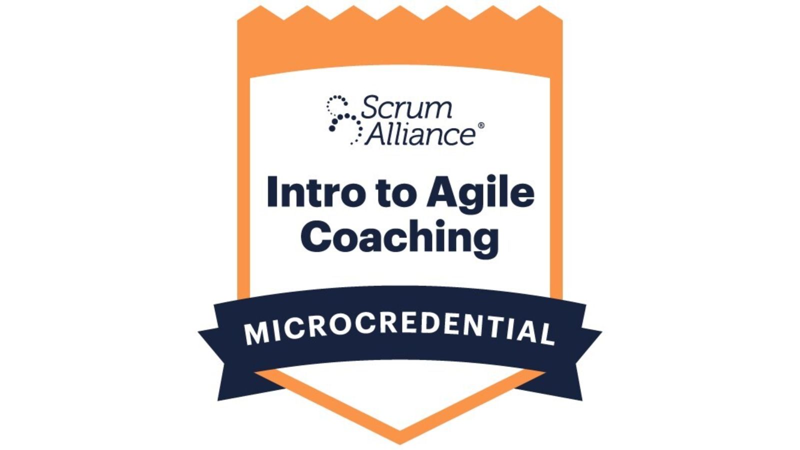 intro to agile logo