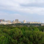 environmental voice - How Environmental Voice Drives Workplace Sustainability