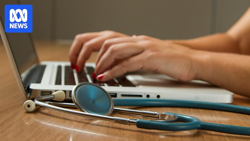 HRIS software implementation - Tasmania’s HRIS Digital Transformation Faces $119M Blowout