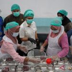 early childhood nutrition - Indonesia’s MBG 3B: Early Nutrition for Human Capital Growth